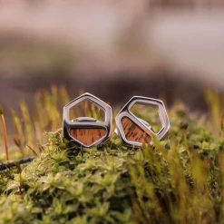 Assemblage Earrings