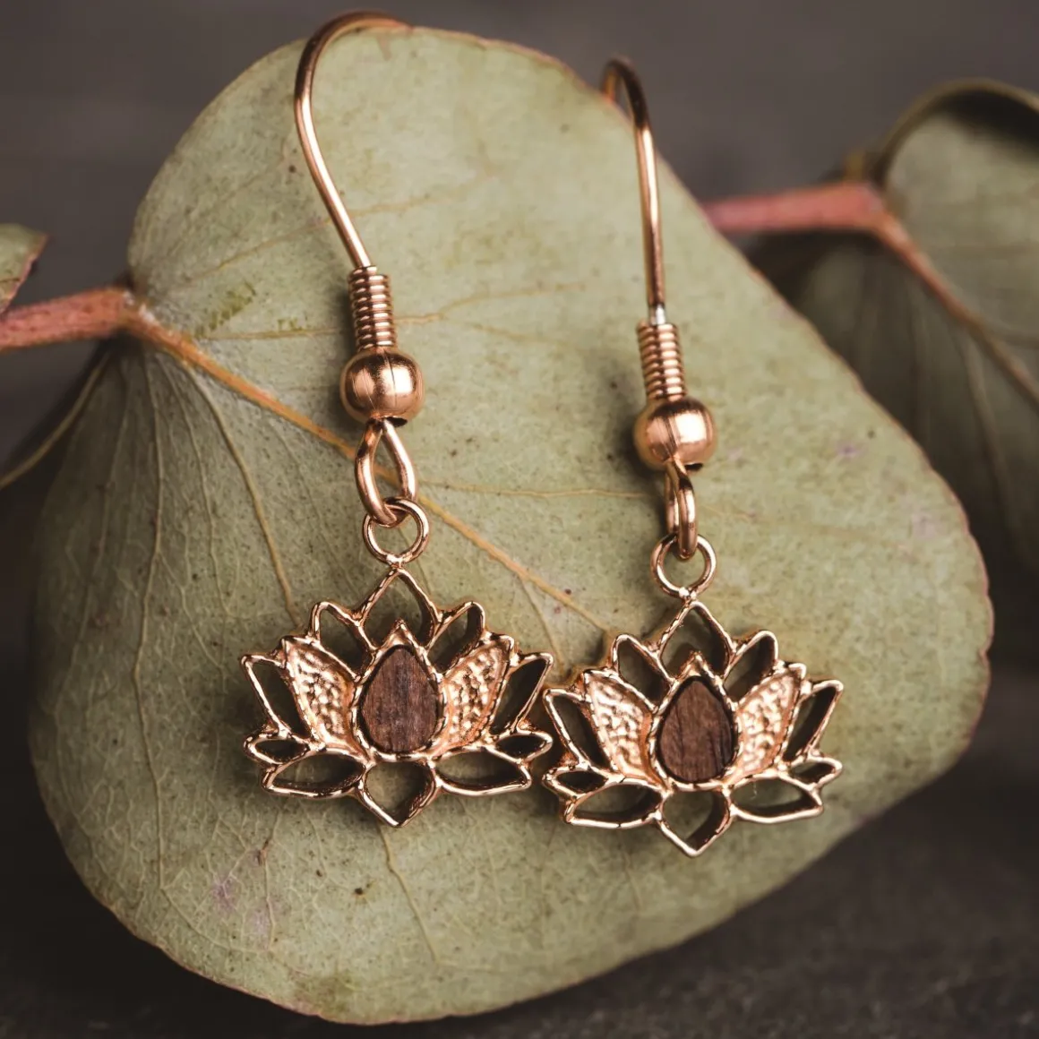 Balance Earrings
