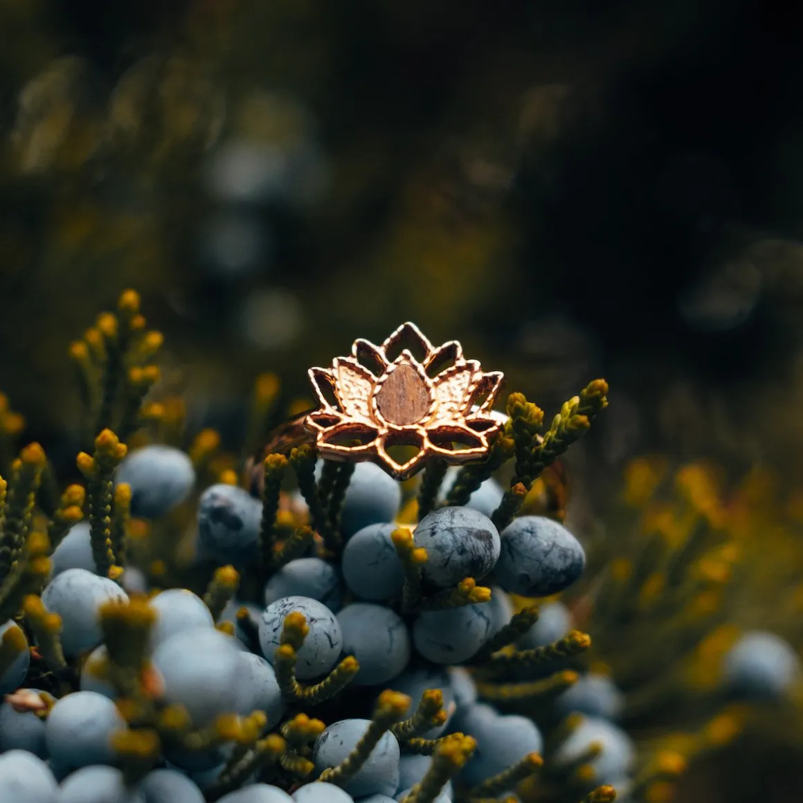 Balance Ring