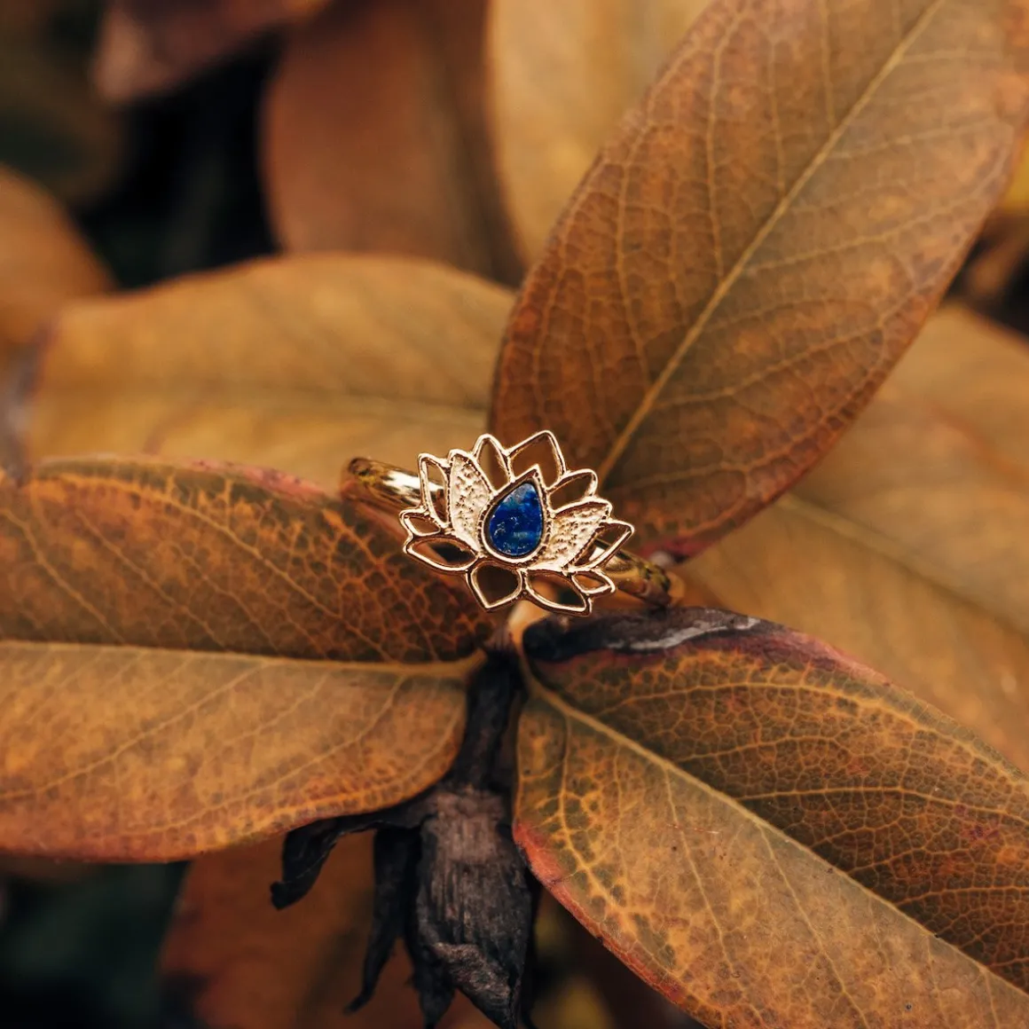 Balance Ring