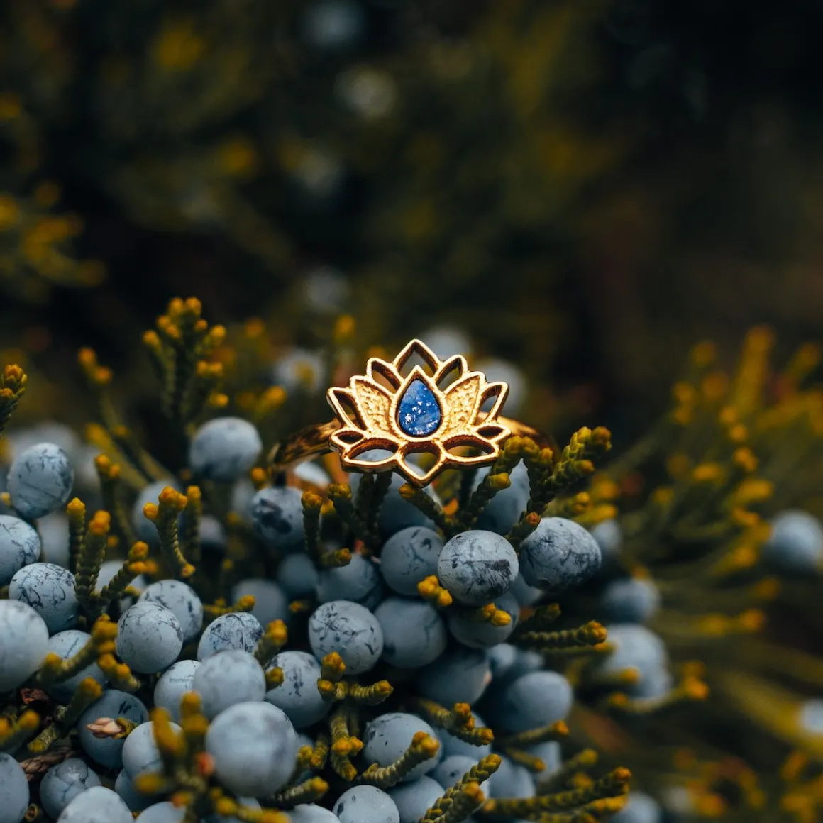 Balance Ring