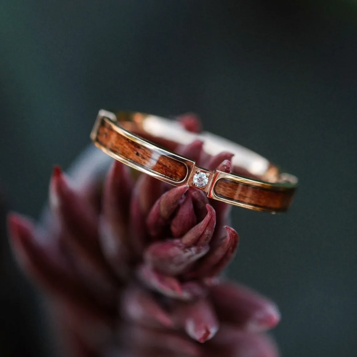 CAMPANIA RING