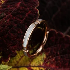 Campania Ring