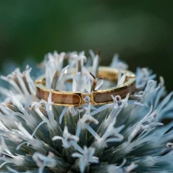CAMPANIA RING