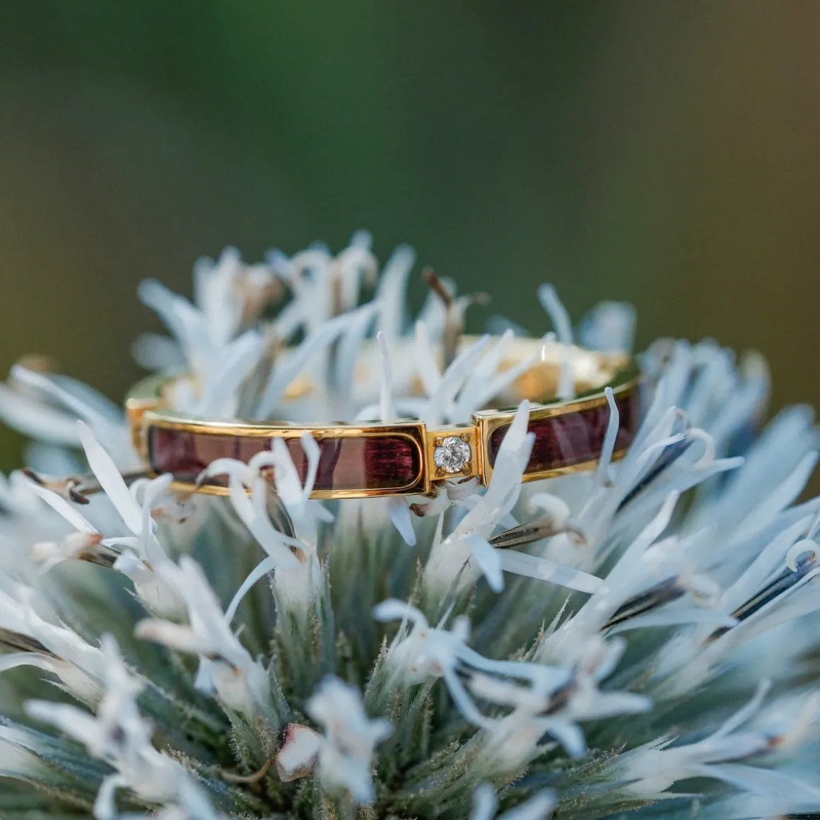 CAMPANIA RING