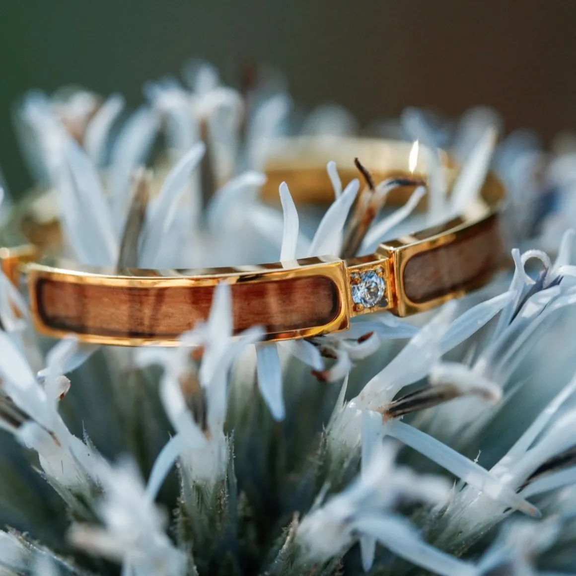 CAMPANIA RING