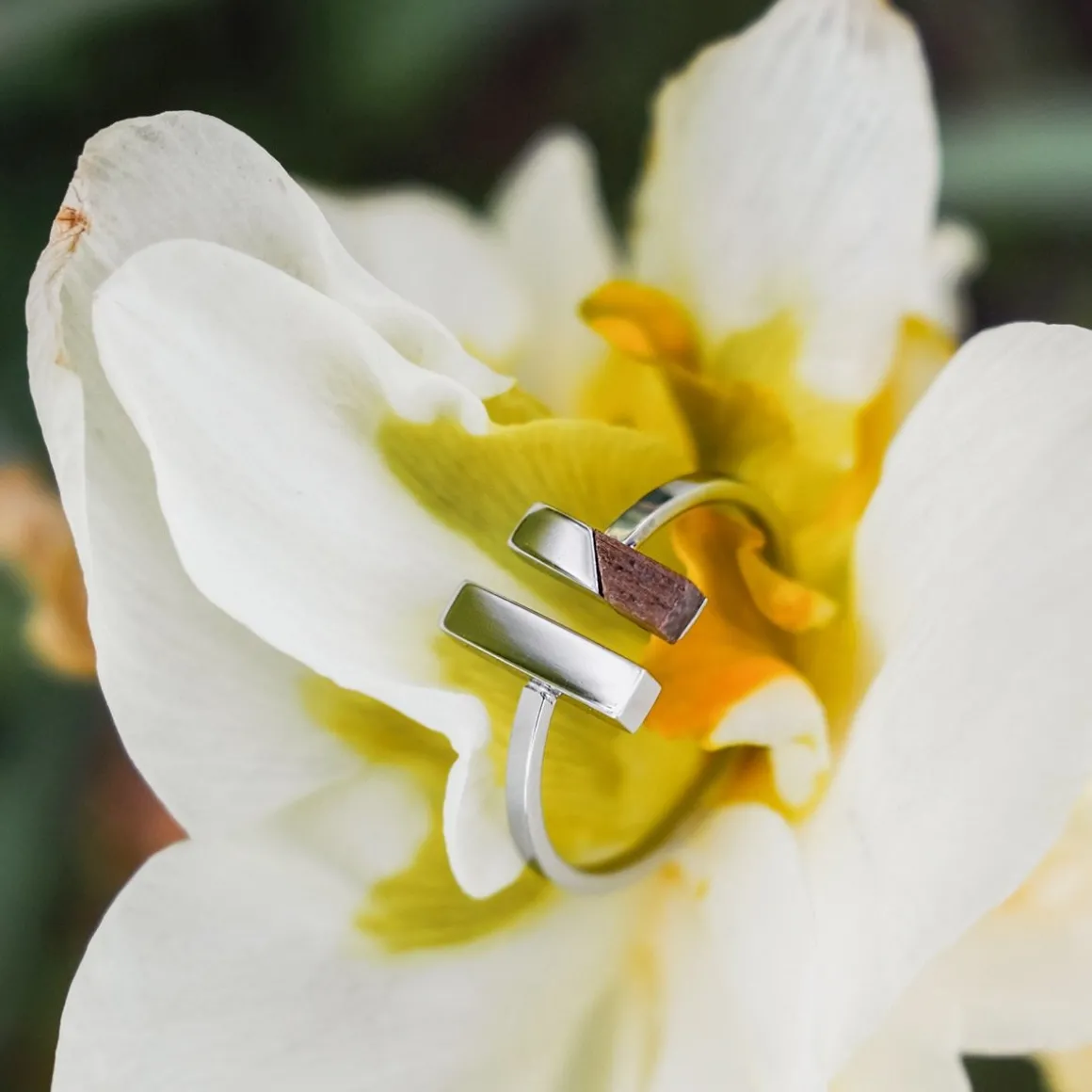 Campania Ring