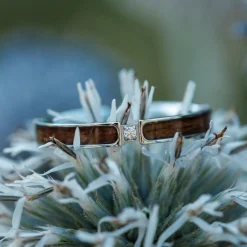 CAMPANIA RING II