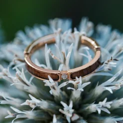 CAMPANIA RING II