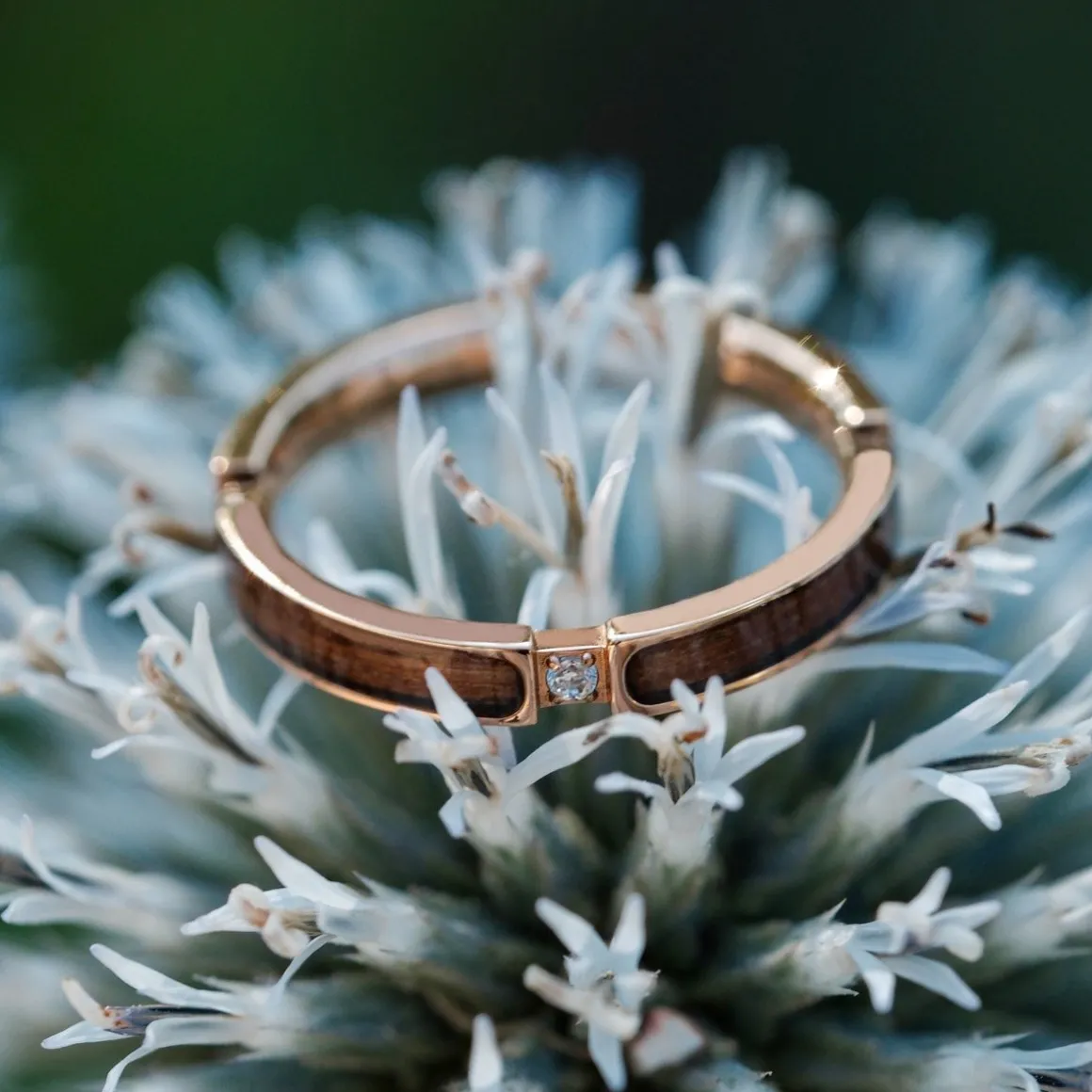 CAMPANIA RING II