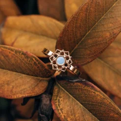 Composition Ring
