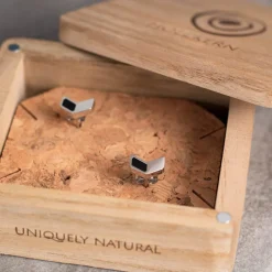 Elevation Earrings