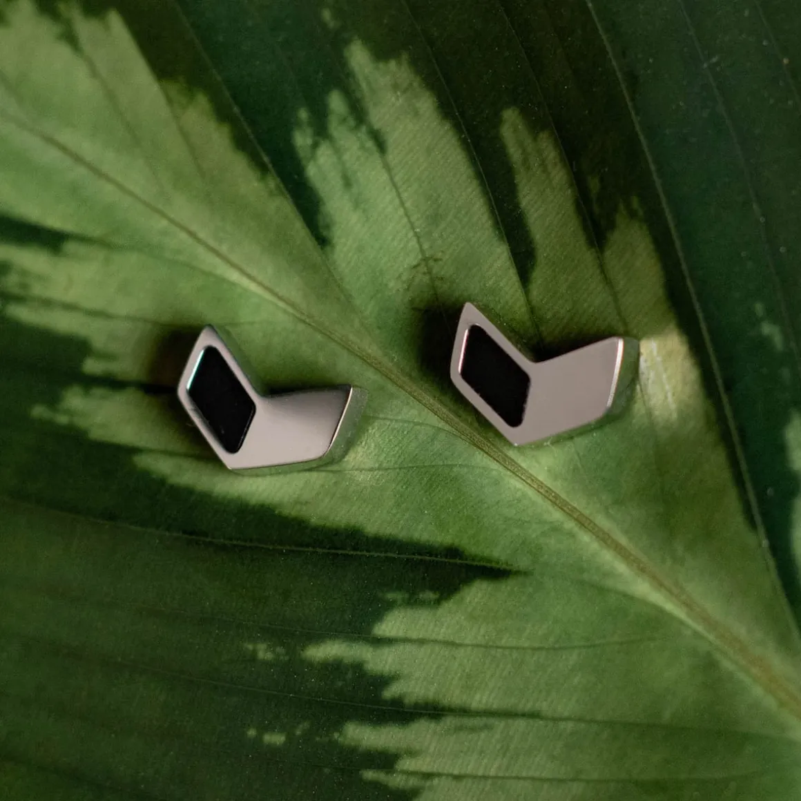 Elevation Earrings