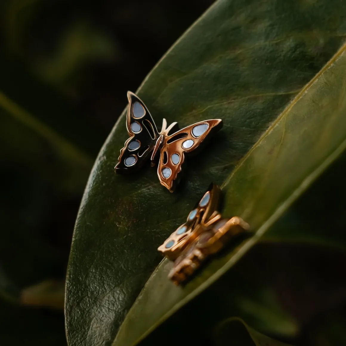 Fritillary Earrings