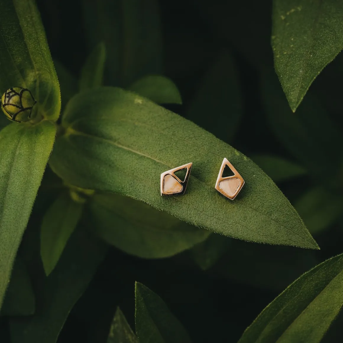 Mandala Earrings