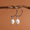 Panoramic Earrings
