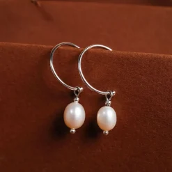 Panoramic Earrings
