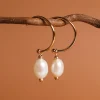 Panoramic Earrings
