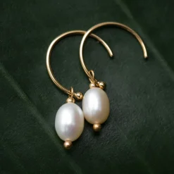 Panoramic Earrings