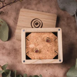 Perception Earrings