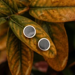 Pigment Earrings