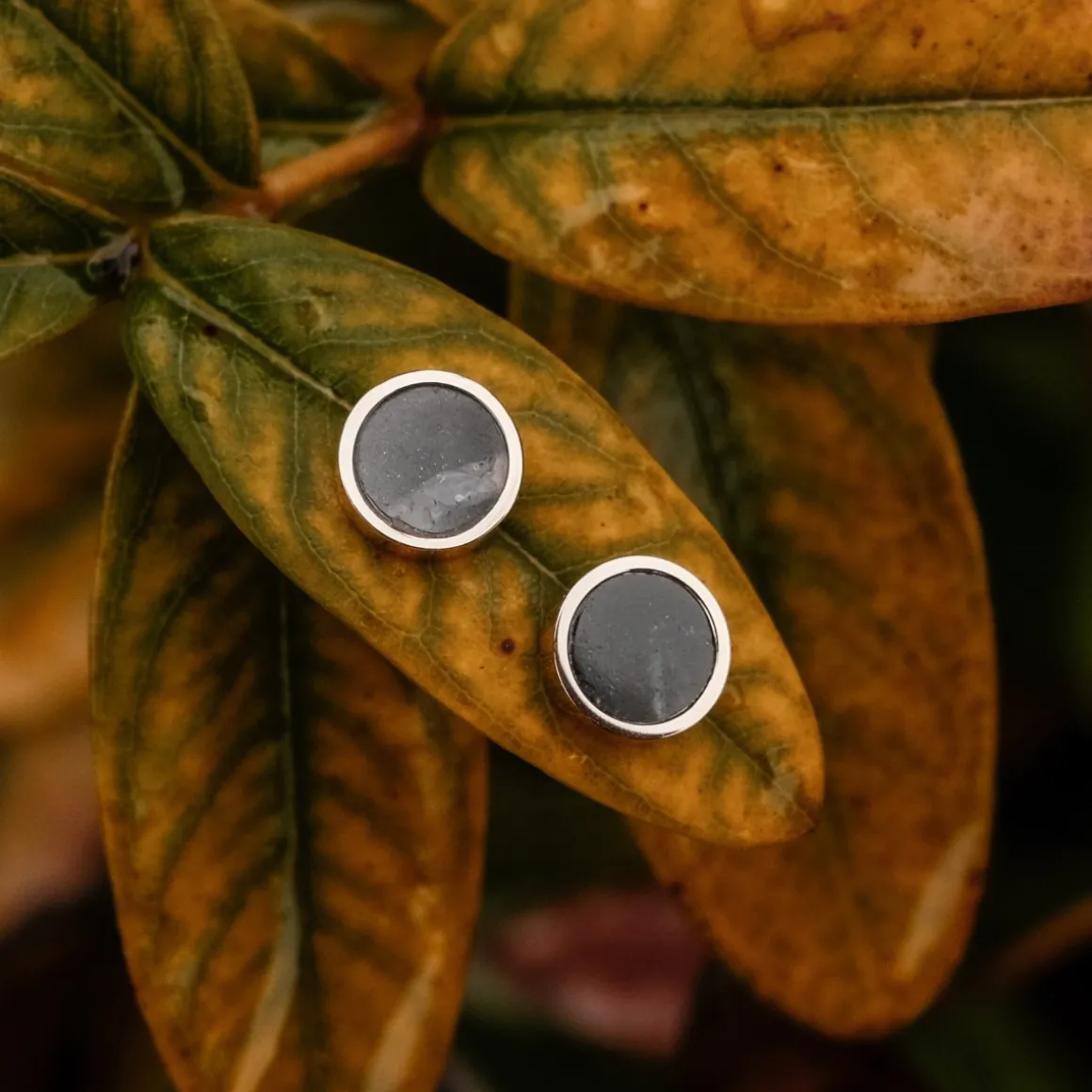 Pigment Earrings