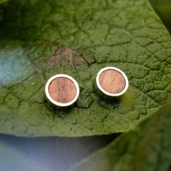 Pigment Earrings