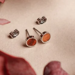 Pigment Earrings