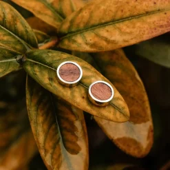 Pigment Earrings