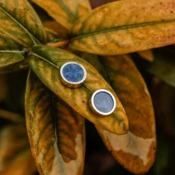 Pigment Earrings