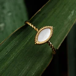 Visual Ring