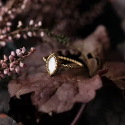 Visual Ring